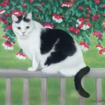 "Cooper", 1996, pastel, 22” x 17” © Bernadette E. Kazmarski