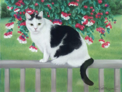 "Cooper", 1996, pastel, 22” x 17” © Bernadette E. Kazmarski