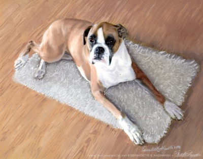 pastel portrait of boxer