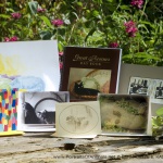 My June 2016 Feline Sampler Box is here!