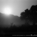 Moonrise and Mist