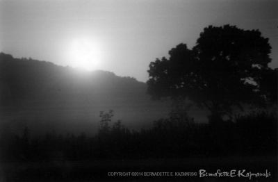 Moonrise and Mist