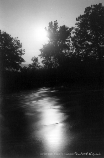Moonlit Path