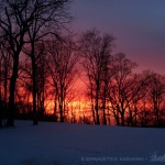 I Chased a Sunset