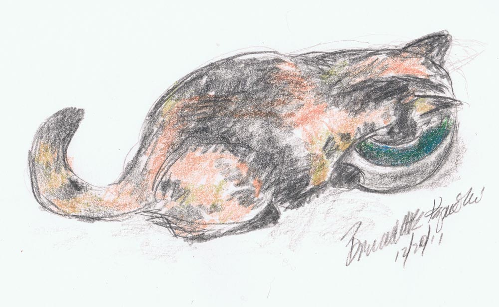"Cookie Has a Drink", graphite pencil and colored pencil, 6" x 4" © Bernadette E. Kazmarski