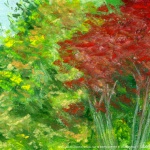 Mixed colored leaves.
