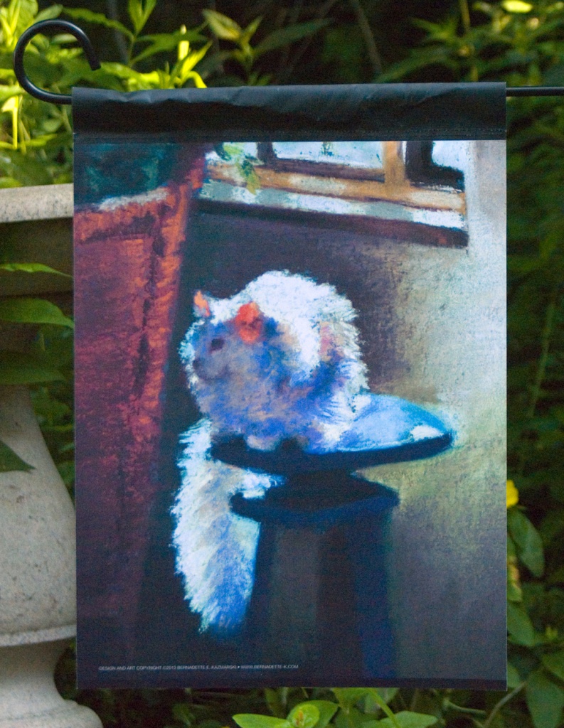 "White Cat Reflecting"