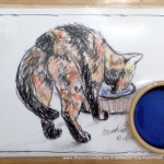Kelly's placemat with the little water bowl she's drinking from.