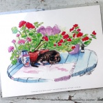Stanley With Geraniums, 9 x 12.