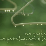 open your heart to unexpected moments of beauty