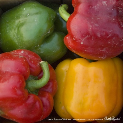Four Peppers