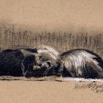 "Front and Back", white and black charcoal on toned paper, 8" x 5" © Bernadette E. Kazmarski