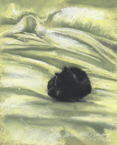 "Autumn Afternoon Bed", 5.5" x 7.5", pastel © Bernadette E. Kazmarski