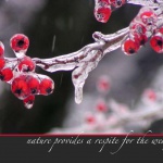 Icy Berries, part of the "Unexpected Berries" set of cards.