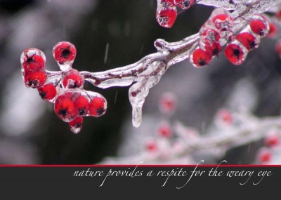 Icy Berries, part of the "Unexpected Berries" set of cards.
