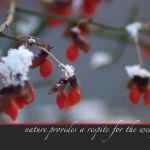 Unexpected Berries