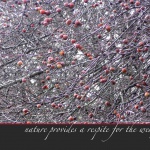 Crabapples