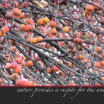 Little Apples