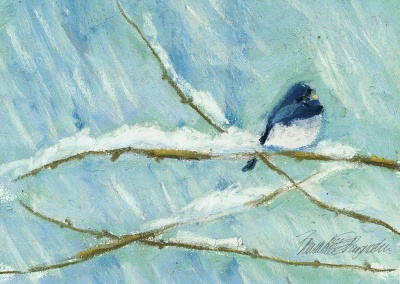 Snow Bird