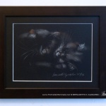 Gentle Highlights, framed.