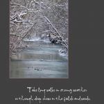 Arching Branches