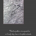 Snowy Abstract
