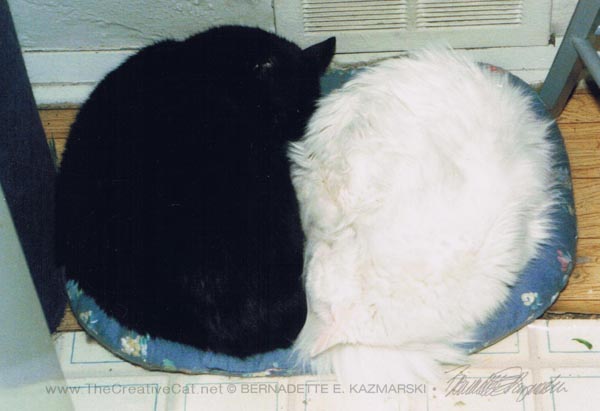 Kublai and Sally often slept like this; the reference photo for "Awakening".