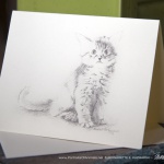"Ready for Play" Feline Pencil Sketches note card.