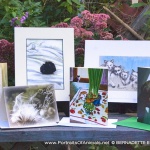 September 2016 Feline Sampler Box