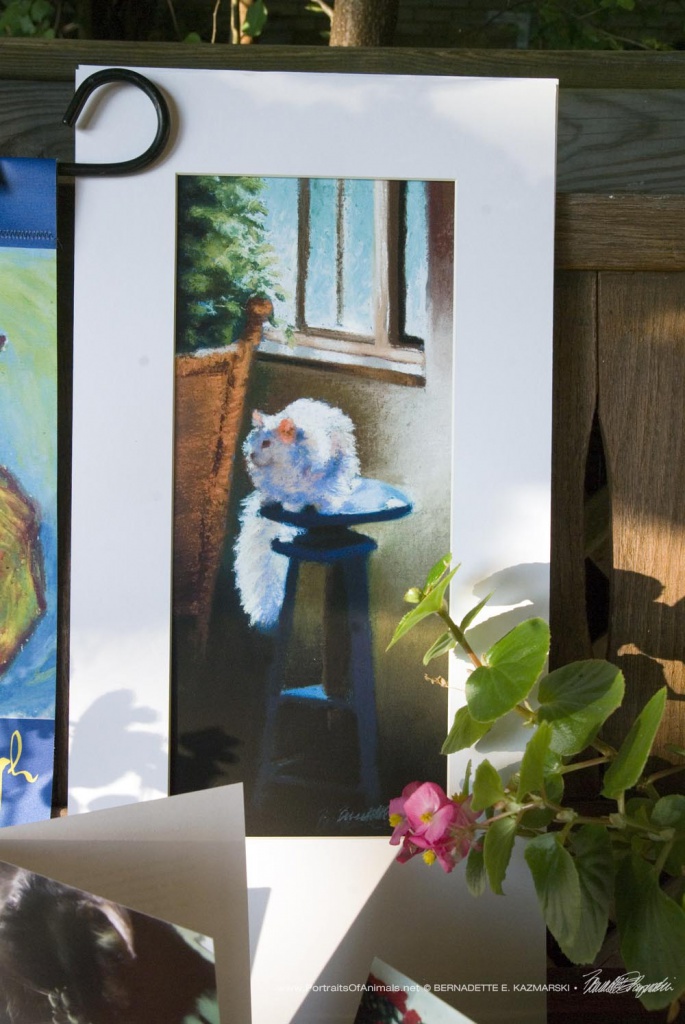 "White Cat Reflecting" matted to fit 10" x 20".