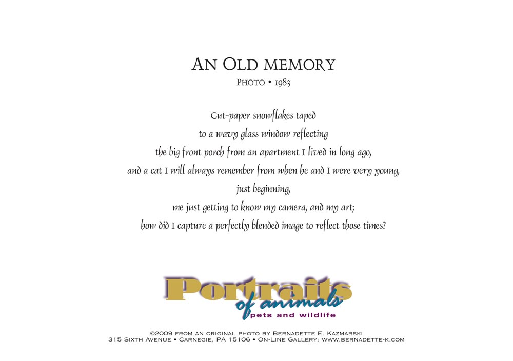 An Old Memory, back