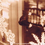 An Old Memory, holiday card