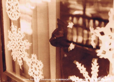 An Old Memory, holiday card