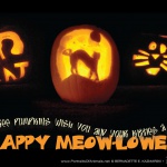 We Three Pumpkins 2