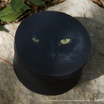 Keepsake Box, "The Eye Model"