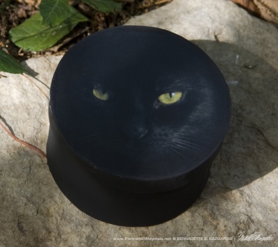 Keepsake Box, "The Eye Model"