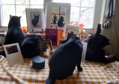 Four black cats settle into the photo.