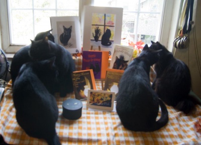 Five black cats join in the fun!