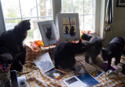 Ophelia crashes the black cat party!