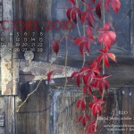 "Red" desktop calendar, 1280 x 1024 for square and laptop monitors.