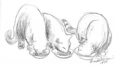 “Dinnertime!”, pencil, 8″ x 5″ © Bernadette E. Kazmarski