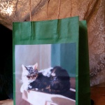 After Dinner Nap Fine Art Gift Bag