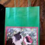 Sophie Gets a Look at Herself Gift Bag in green