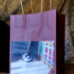 Warm Winter Sun Fine Art Gift Bag