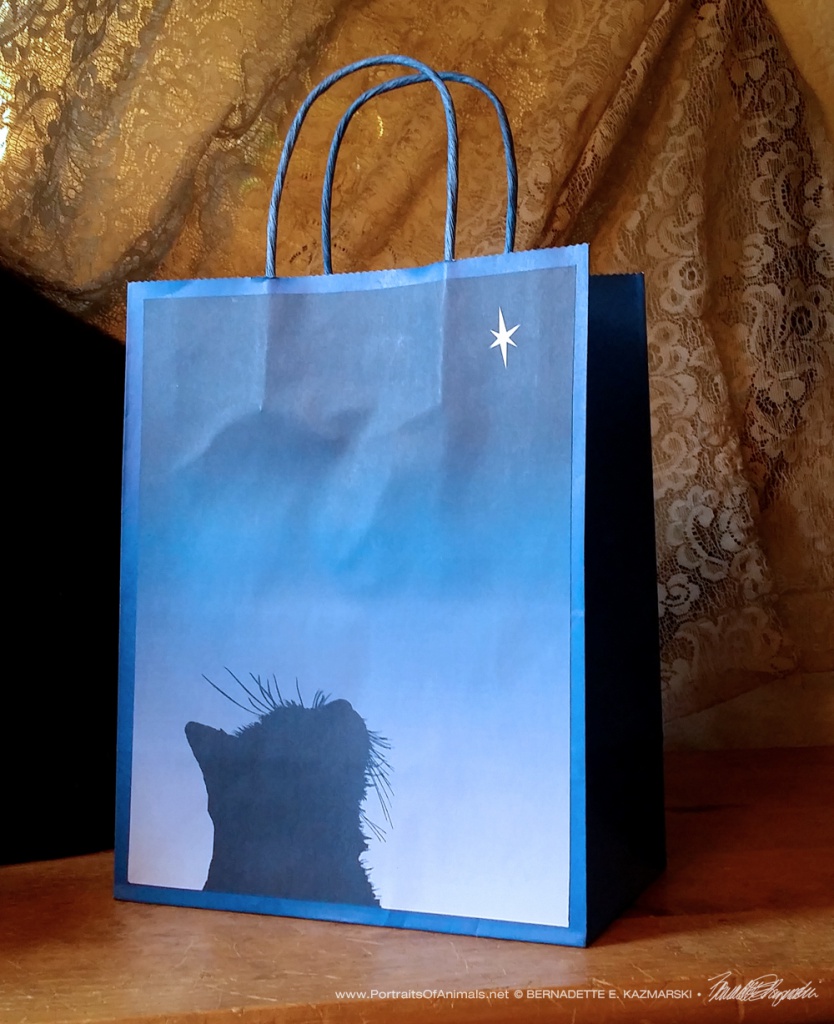 Star of Wonder Gift Bag