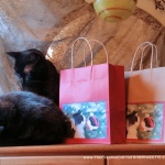 Sophie Gets a Look at Herself Gift Bags