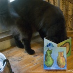 Basil helps to inspect the inside.