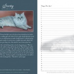 Great Rescues Day Book, sample two-page spread.