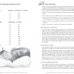 Great Rescues Day Book cat resources pages.
