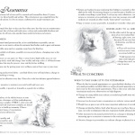 Great Rescues Day Book cat resources pages.